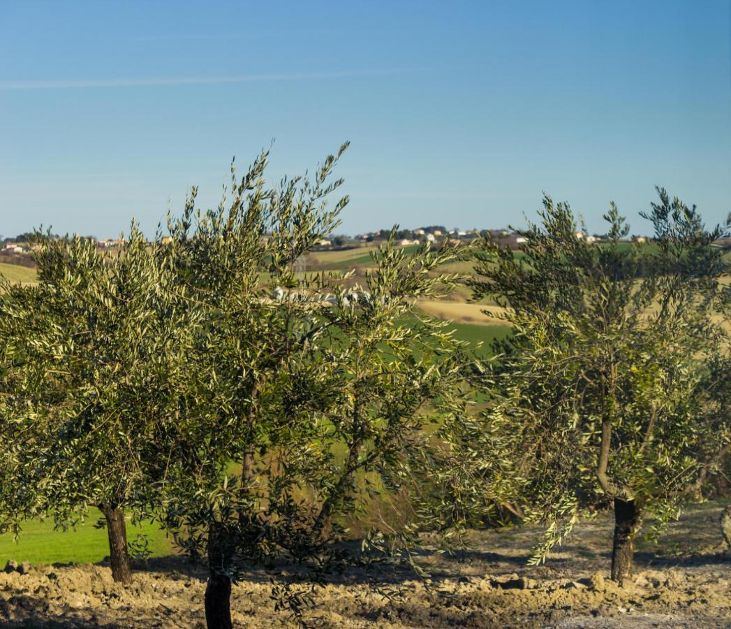Villa Saltregna Cervidone Esterno foto