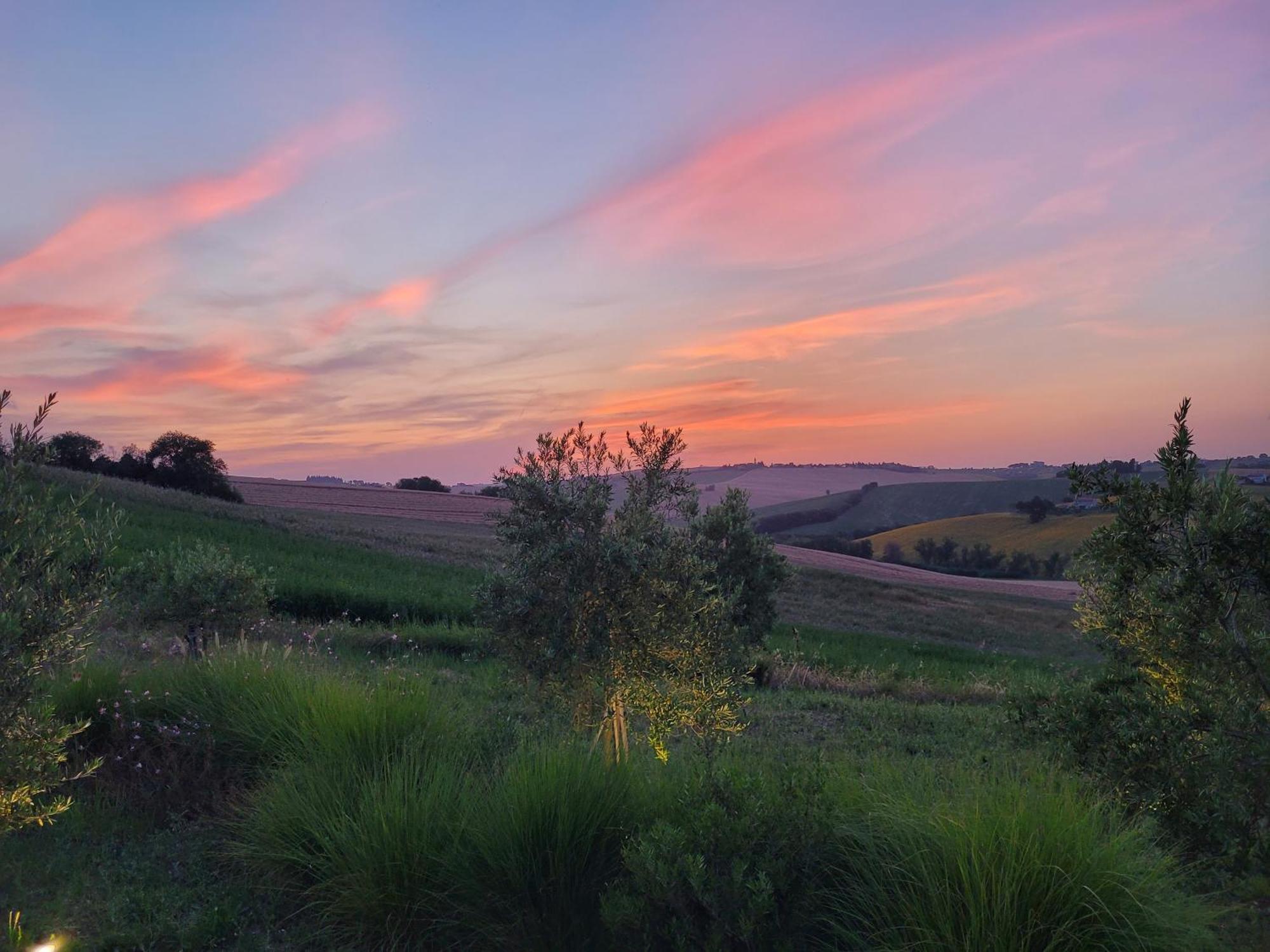 Villa Saltregna Cervidone Esterno foto