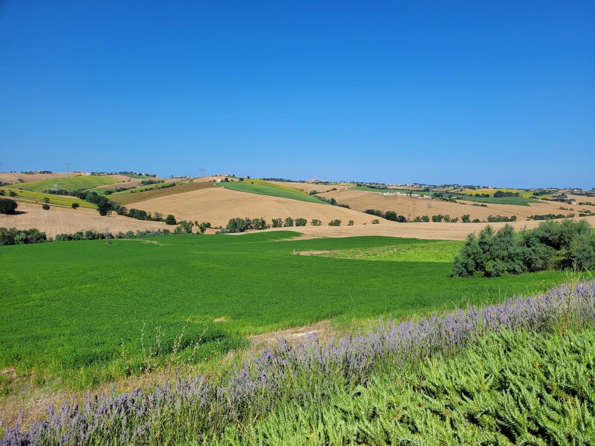 Villa Saltregna Cervidone Esterno foto